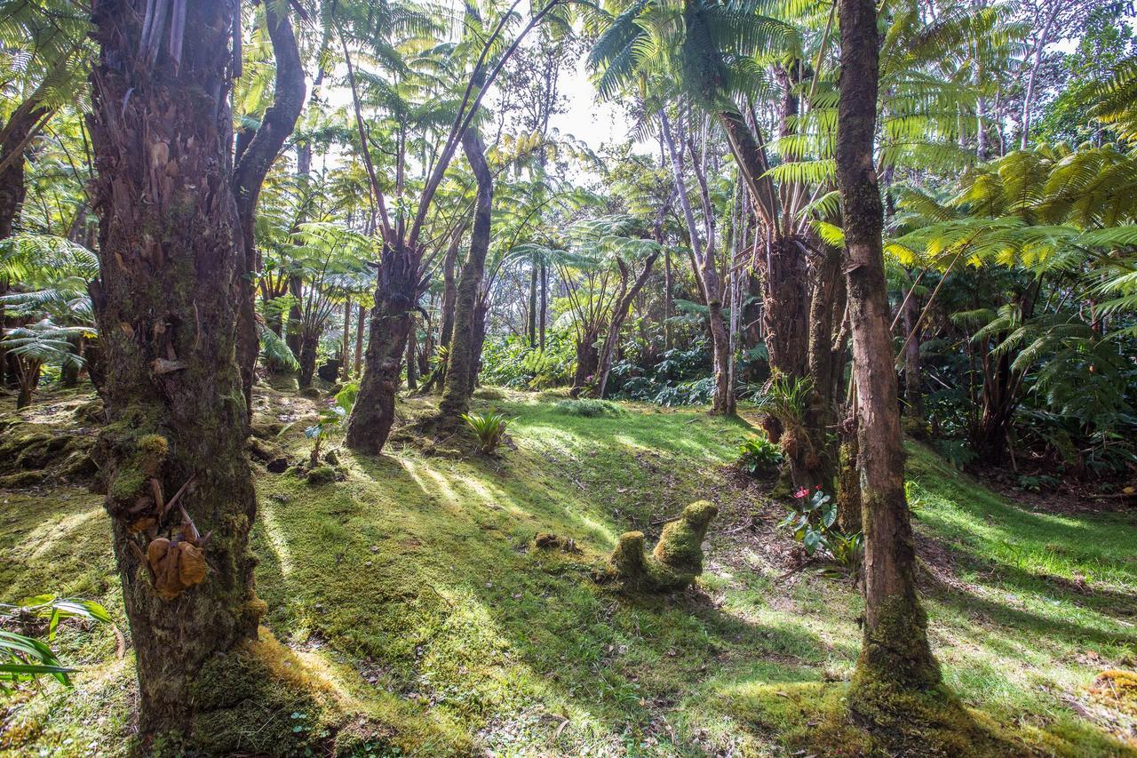 Hale Mauna Loa Upper Level With Shared Hot Tub Volcano Exterior foto